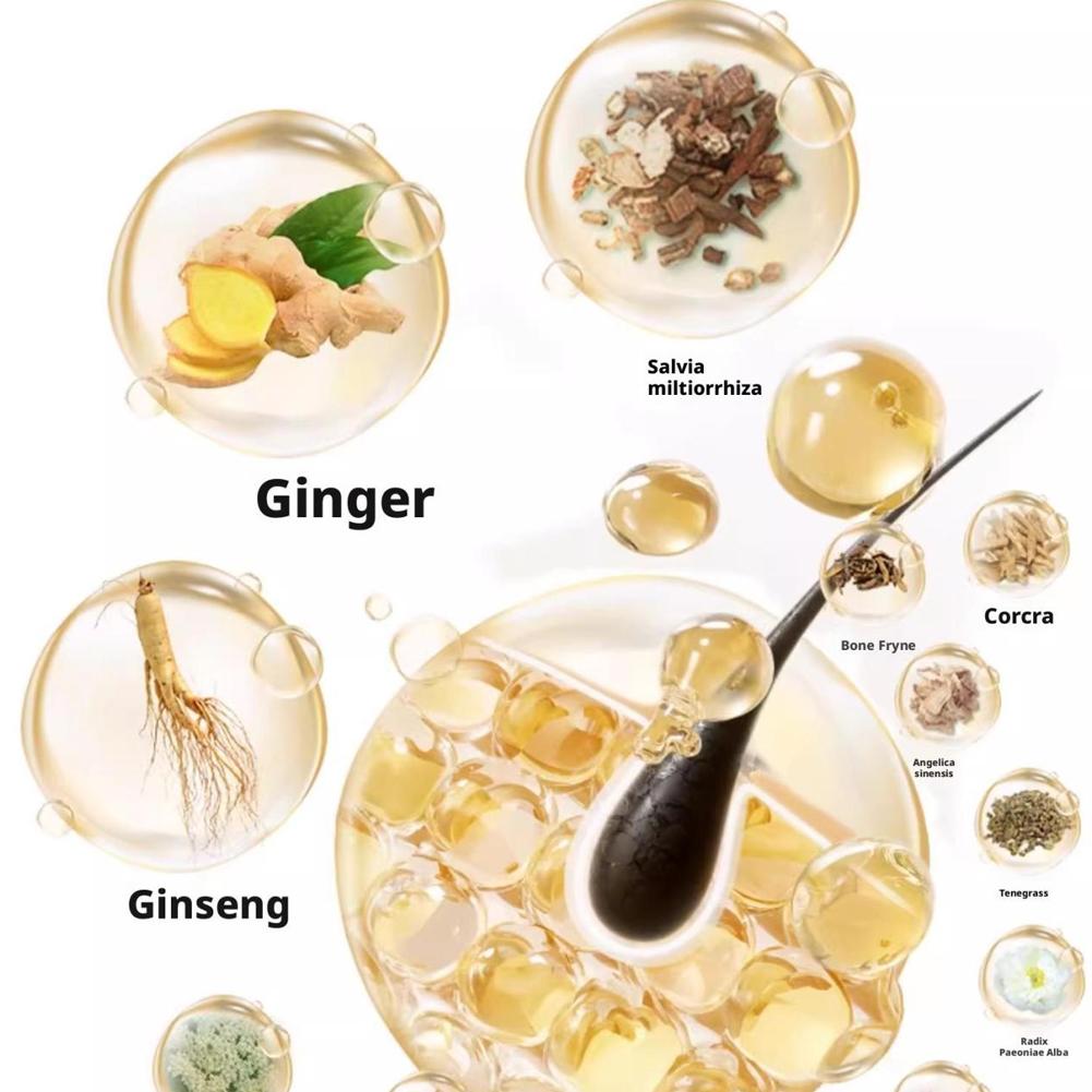 Zhang Guang 101 Ginseng, nähre – Hair Care Herbal Bewertung und Preis
